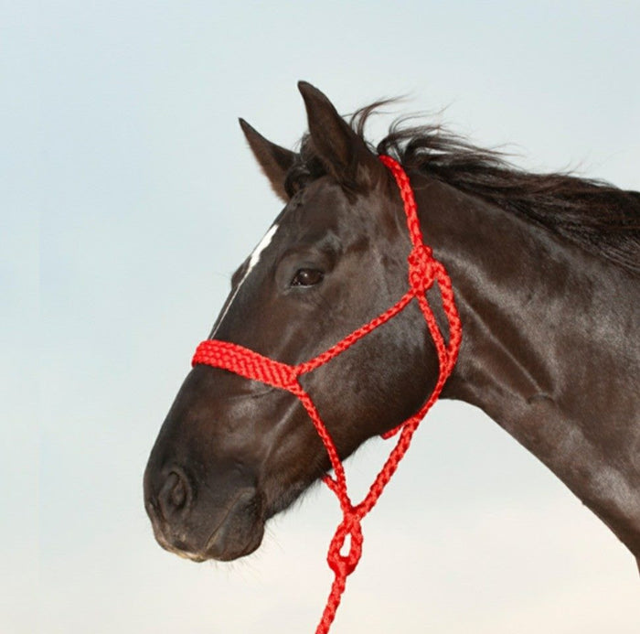 Mule Tape Rope Halter & Lead - 7 colours