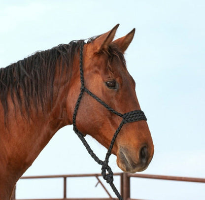 Mule Tape Rope Halter & Lead - 7 colours