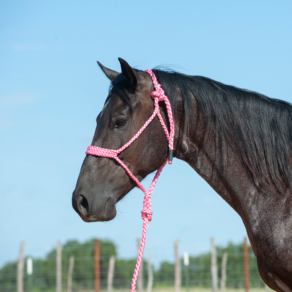 Mule Tape Rope Halter & Lead - 7 colours