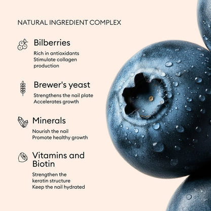 Close-up of dew-covered bilberries on the right, next to text listing Nail Boost’s natural ingredients: bilberries, brewer's yeast, minerals, vitamins  biotin—Manucurist icons highlight nail growth and skin health benefits.