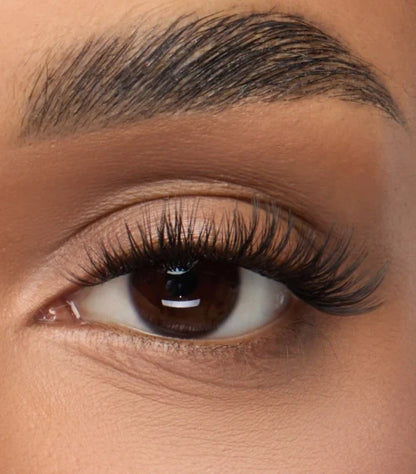 Nanolash Stick & Go Pre-glued Lashes Harmony