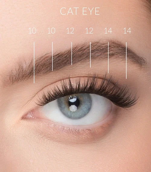 Nanolash Stick & Go Pre-glued Lashes Harmony