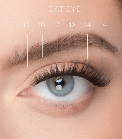 Nanolash Stick & Go Pre-glued Lashes Harmony