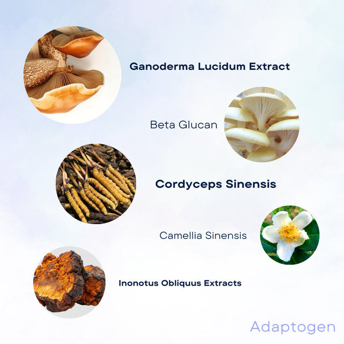• NEW Adaptogen™
