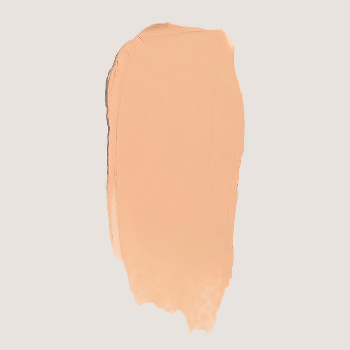 FlexShade Foundation by No Makeup Makeup swatch in fair