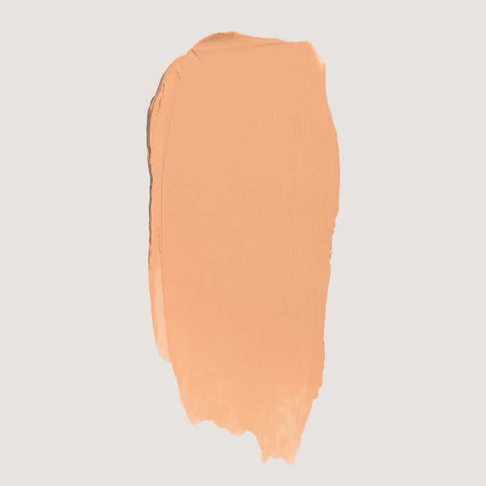 FlexShade Foundation by No Makeup Makeup swatch in light