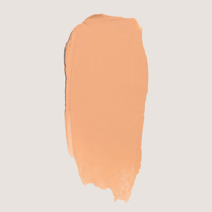 FlexShade Foundation by No Makeup Makeup swatch in light