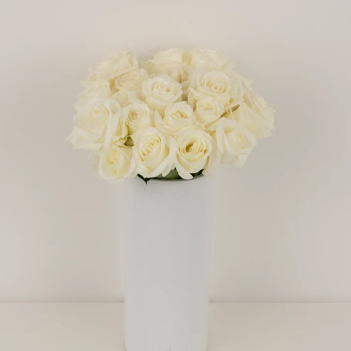 Polar Star White Rose Vase - Image