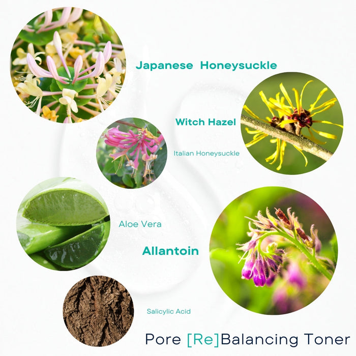 • Pore ReBalancing Toner