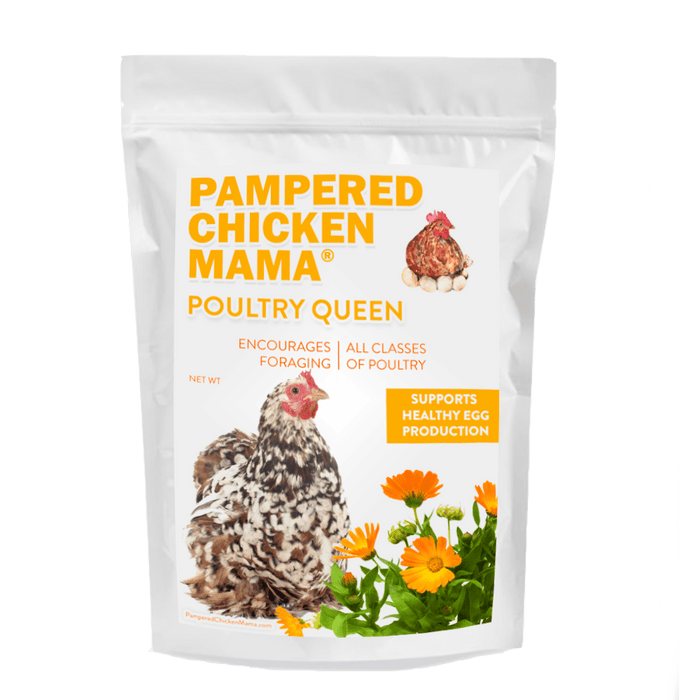 Poultry Queen Mealworm, Premium Corn, Flax Seeds, & Herb Treat For Pet Chickens