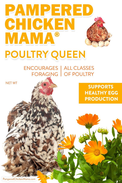 Poultry Queen Mealworm, Premium Corn, Flax Seeds, & Herb Treat For Pet Chickens