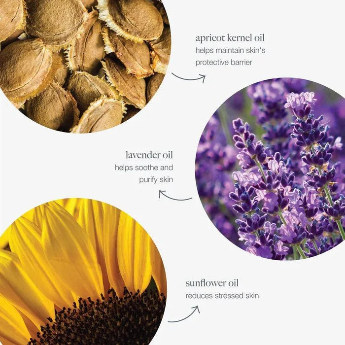 precleanse trial (15ml) - Dermalogica Singapore