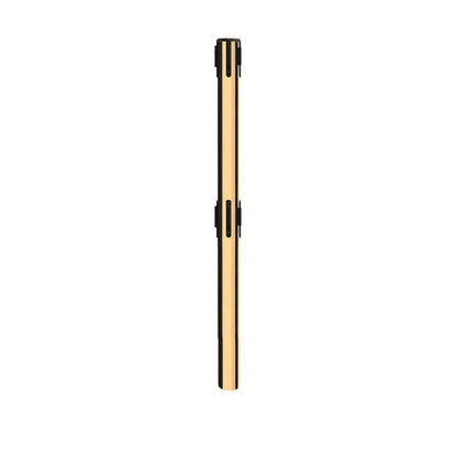 POLISHED BRASS / DUAL / 2.5 INCH OUTSIDE DIAMETER (630D)
