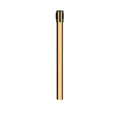 POLISHED BRASS / SINGLE / 3 INCH OUTSIDE DIAMETER (650)