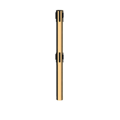 POLISHED BRASS / DUAL / 3 INCH OUTSIDE DIAMETER (650D)