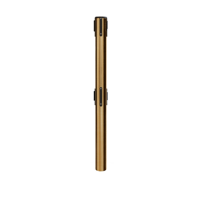 SATIN BRASS / DUAL / 3 INCH OUTSIDE DIAMETER (650D)