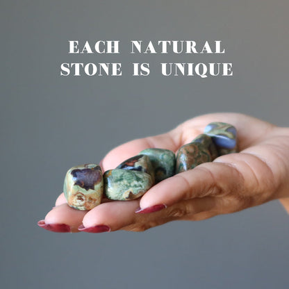 rhyolite tumbled stones in hand