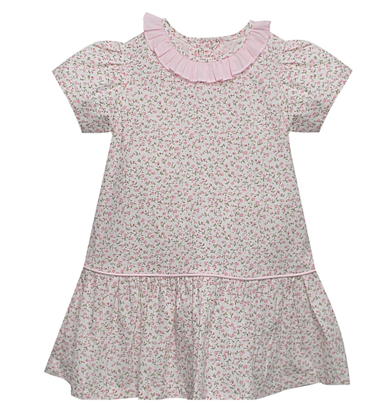RN Pink Garden Whispers Drop Waist Dress