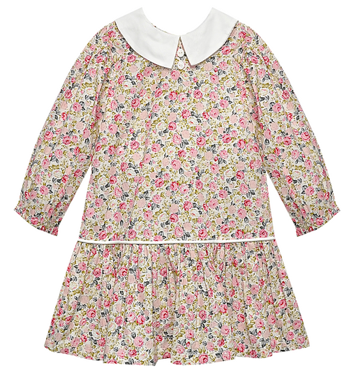 RN Pink/Grey Rose Drop Waist Carrington Dress