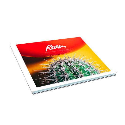 A square book by ROAM features a vibrant cover with Roam and dynamic colors reminiscent of their album Great Heights & Nosedives; a striking cactus photo pops against a red-yellow backdrop, evoking an eye-catching CD tracklist.