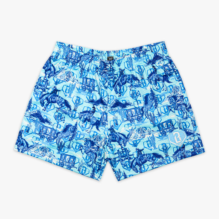 Blue patterned shorts on a white background