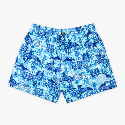 Blue patterned shorts on a white background