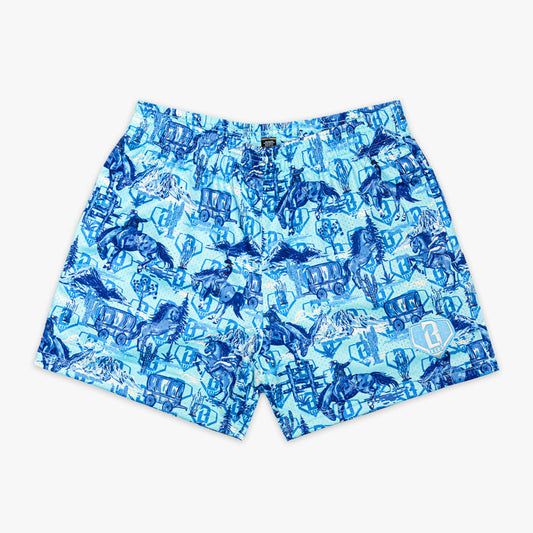 Blue patterned shorts on a white background