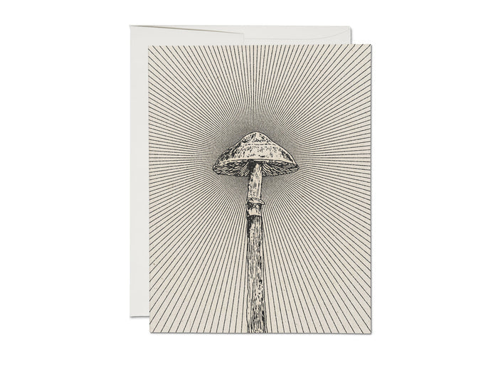 Everyday card with line-art mushroom illustration on textured striped background
