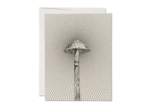 Everyday card with line-art mushroom illustration on textured striped background