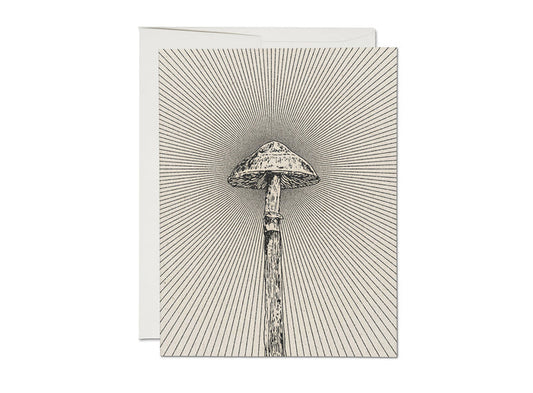 Everyday card with line-art mushroom illustration on textured striped background