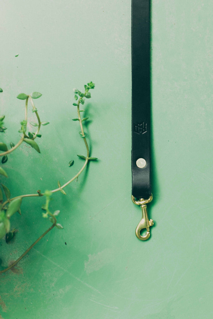 Small Dog Leash