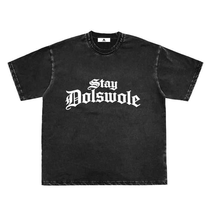 Snow Washed Raw-Edge Neckline T-Shirt