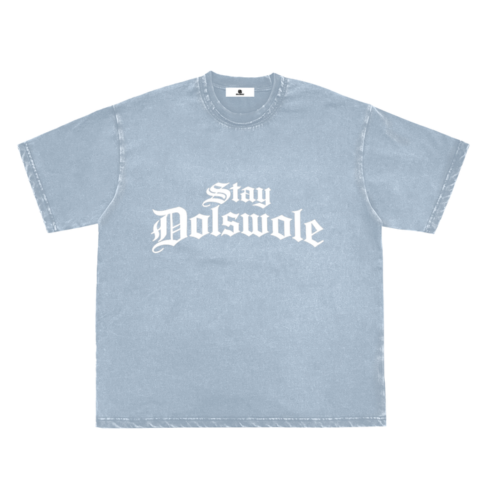Snow Washed Raw-Edge Neckline T-Shirt