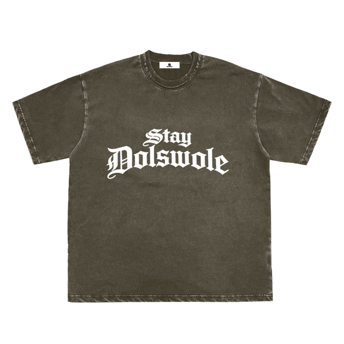 Snow Washed Raw-Edge Neckline T-Shirt