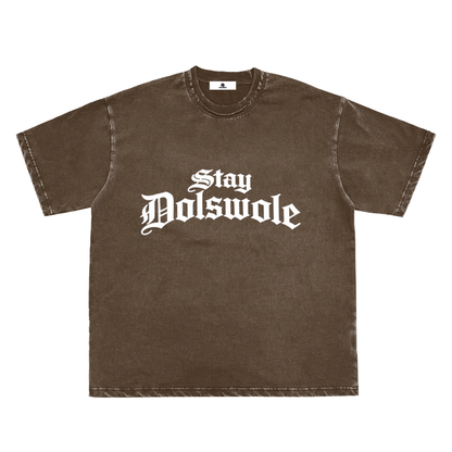 Snow Washed Raw-Edge Neckline T-Shirt