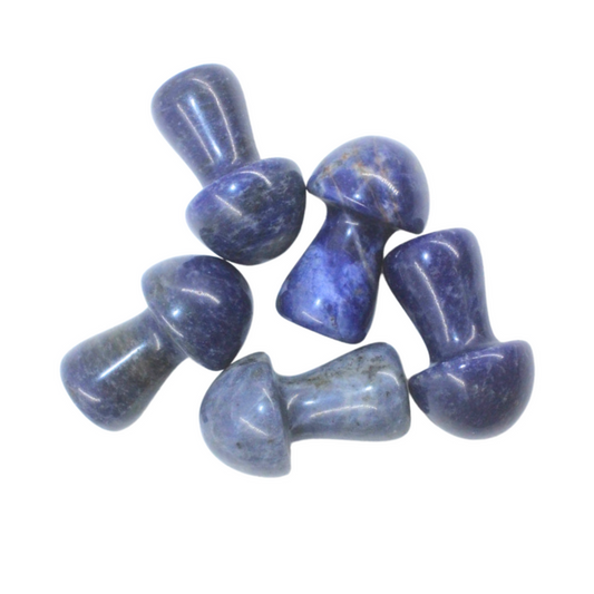 Sodalite Mushroom - Medium