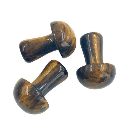 Tiger's Eye Mushroom - Large