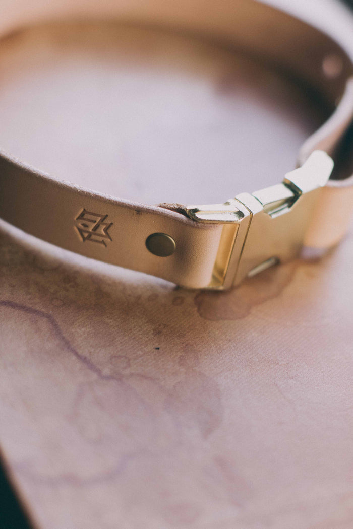 Tommy Belt