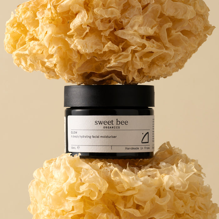 Tremella Bundle