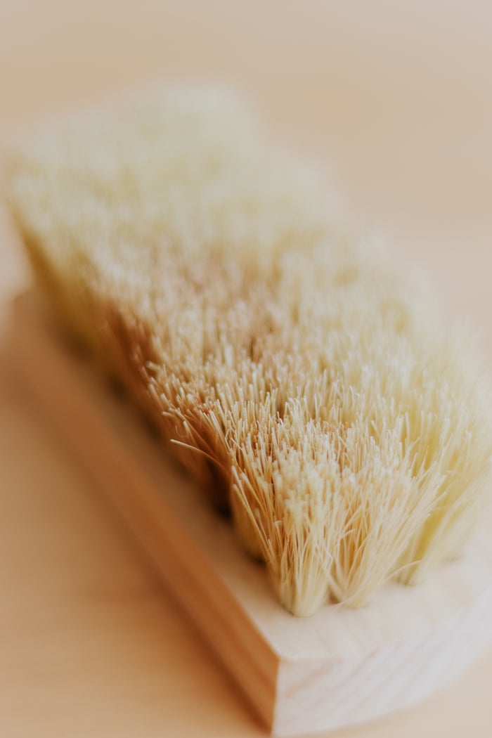 Vegetable Brush