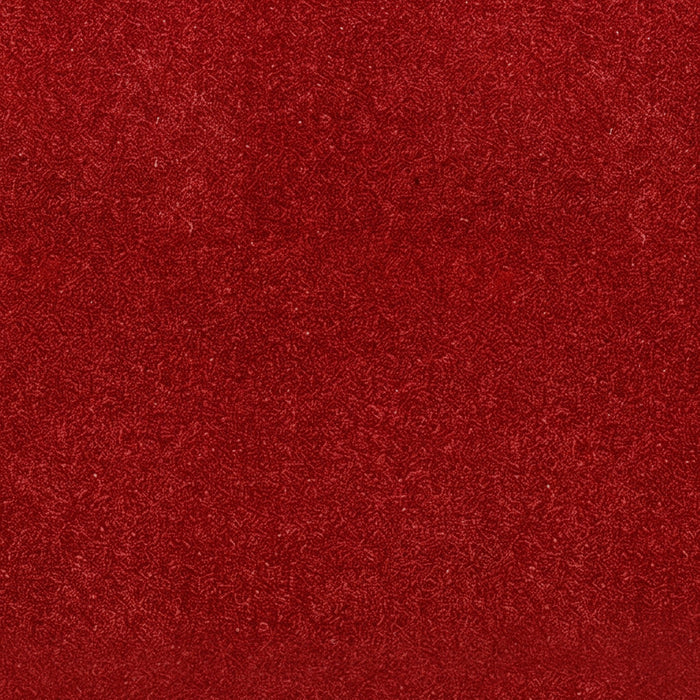 VIP Red Carpet - 5 Feet Wide, Multiple Lengths