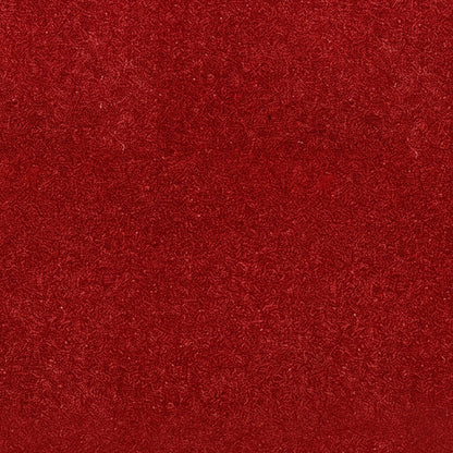 VIP Red Carpet - 5 Feet Wide, Multiple Lengths