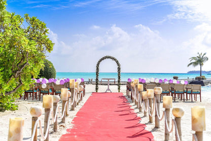 VIP Red Carpet - 8 Feet Wide, Multiple Lengths - Crowd Control Warehouse