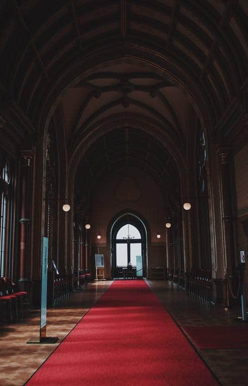 VIP Red Carpet - 8 Feet Wide, Multiple Lengths - Crowd Control Warehouse